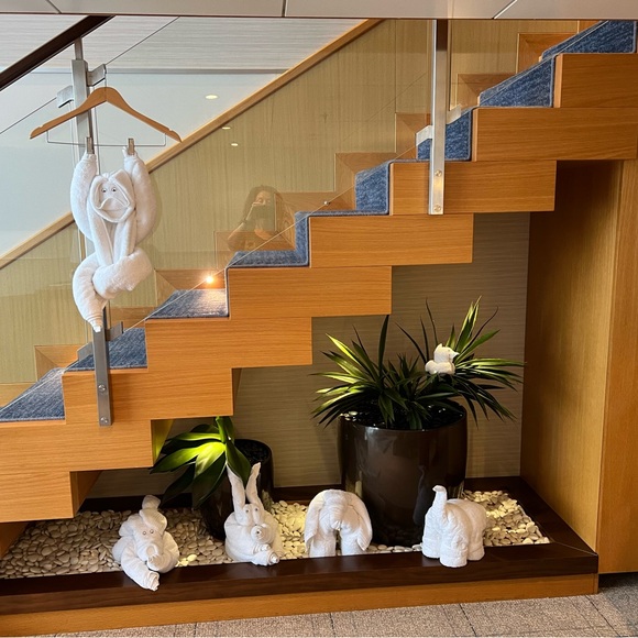 I’m Mazie I’m a blessed wife, & grandma of 3 grandkids,3yr twins b/g,&1yr b❤️🥰 - Picture 17 of 17